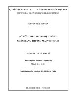 Sở hữu chéo trong hệ thống ngân hàng thương mại việt nam002 