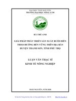 Giải pháp phát triển sản xuất bưởi diễn theo hướng bền vững trên địa bàn huyện thanh sơn, tỉnh phú thọ (luận văn thạc sĩ) 