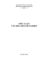 Bài tiểu luận môn văn hóa doanh nghiệp