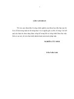 VAI TRÒ CỦA NHÀ NƯỚC TRONG QUÁ TRÌNH CÔNG NGHIỆP HÓA HƯỚNG VỀ XUẤT KHẨU CỦA MALAIXIA  KINH NGHIỆM VÀ KHẢ NĂNG VẬN DỤNG VÀO VIỆT NAM