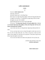 Tín dụng ngân hàng đối với doanh nghiệp nhỏ và vừa tại các chi nhánh ngân hàng nông nghiệp và phát triển nông thôn việt nam trên địa bàn thành phố hồ chí minh 