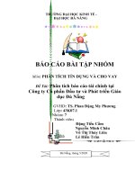 Nhóm 7 - Lớp 43K7.1 - Báo cáo bài tập nhóm - Phân tích báo cáo tài chính Công ty Cổ phần Đầu tư và Phát triển Đà Nẵng