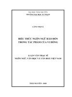 Biểu thức ngôn ngữ rào đón trong tác phẩm của vi hồng 