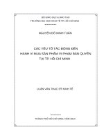 Các yếu tố tác động đến hành vi mua sản phẩm vi phạm bản quyền tại TPHCM 
