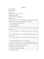 (Luận văn thạc sĩ) Xây dựng một số giải pháp nhằm tăng cường ứng dụng Marketing – Mix trong hoạt động kinh doanh tại chi nhánh Phú Thọ của công ty VMS Mobifone