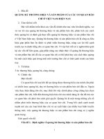 TL môn kinh tế báo chí  QUẢNG bá THƯƠNG HIỆU và sản PHẨM của các cơ QUAN báo CHÍ ở VIỆT NAM HIỆN NAY