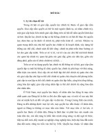 Tiểu luận cao học,  vấn đề đặt ra đối với quyền lực chính trị ở việt nam hiện nay