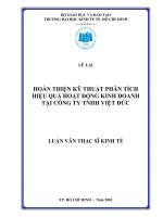 (Luận văn thạc sĩ) Hoàn thiện kỹ thuật phân tích hiệu quả hoạt động kinh doanh tại công ty TNHH Việt Đức