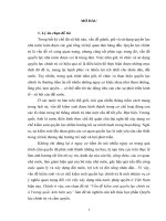 Tiểu luận cao học, vấn đề kiểm soát quyền lực chính trị ở vương quốc anh hiện nay