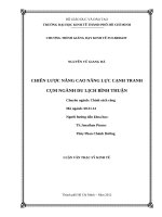 Chiến lược nâng cao năng lực cạnh tranh cụm ngành du lịch bình thuận 
