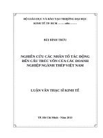 Nghiên cứu các nhân tố tác động đến cấu trúc vốn của các doanh nghiệp ngành thép việt nam 