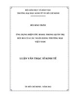 Ứng dụng hiệp ước basel trong quản trị rủi ro của các ngân hàng thương mại việt nam 