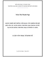Hoàn thiện hệ thống xếp hạng tín nhiệm nội bộ đối với các ngân hàng thương mại trong nước tại ngân hàng thương mại cổ phần á châu 
