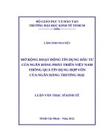 Mở rộng hoạt động tín dụng đầu tư của ngân hàng phát triển việt nam thông qua tín dụng hợp vốn của ngân hàng thương mại 
