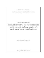 Sự già hóa dân số và các vấn đề chăm sóc người cao tuổi ở đô thị   nghiên cứu trường hợp thành phố hồ chí minh 