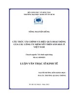 Cấu trúc tài chính và hiệu quả hoạt động của các công ty niêm yết trên sàn HSX ở việt nam 