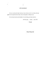 Phát triển dịch vụ ngân hàng điện tử tại ngân hàng TMCP công thương việt nam 