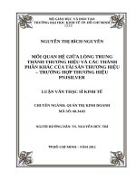 Mối quan hệ giữa lòng trung thành với thương hiệu và các thành phần khác của tài sản thương hiệu   trường hợp thương hiệu PNJSILVER 