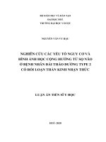 Nghiên cứu các yếu tố nguy cơ và hình ảnh học cộng hưởng từ sọ não ở bệnh nhân đái tháo đường type 2 có rối loạn thần kinh nhận thức (Luận án tiến sĩ)