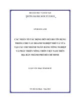 Các nhân tố tác động đến rủi ro tín dụng trong cho vay doanh nghiệp nhỏ và vừa tại các chi nhánh ngân hàng nông nghiệp và phát triển nông thôn việt nam trên địa bàn TP  hồ chí minh 