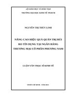 Nâng cao hiệu quả quản trị rủi ro tín dụng tại ngân hàng thương mại cổ phần phương nam 