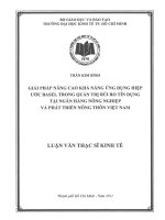Giải pháp nâng cao khả năng ứng dụng hiệp ước basel trong quản trị rủi ro tín dụng tại ngân hàng nông nghiệp và phát triển nông thôn việt nam 