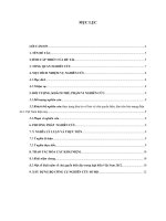 tiểu luận xã hội học báo chí thực trạng đưa tin về bảo vệ chủ quyền biển, đảo trên báo mạng điện tử ở việt nam hiện nay