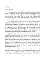 tiêu luận, thể chế chính trị ở nhật bản hiện nay