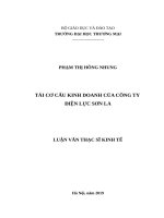(Luận văn thạc sĩ) Tái cơ cấu kinh doanh của Công ty Điện lực Sơn La