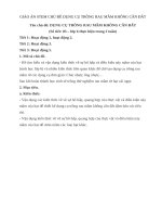 Giáo án stem sinh học lớp 6 chủ đề dụng cụ trồng rau mầm không cần đất