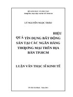 Giải pháp nâng cao hiệu quả tín dụng bất động sản tại các ngân hàng thương mại trên địa bàn thành phố hồ chí minh 
