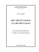 Tiểu thuyết lịch sử của hồ thủy giang 