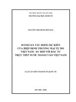 Đánh giá tác động dự kiến của hiệp định thương mại tự do việt nam – EU đối với đầu tư trực tiếp nước ngoài vào việt nam 