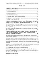 Muc luc DG Tiem nang thi truong