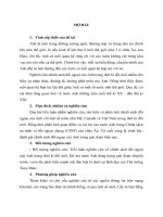 Tiểu luận môn CSĐN  nghiên cứu chính sách đối ngoại của anh trong thời kì đổi mới