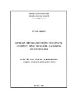 Đánh giá hiệu quả hoạt động của công ty cổ phần xi măng trung hải – hải dương sau cổ phần hóa   