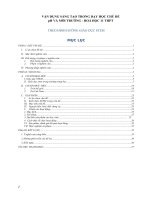 Vận dụng sáng tạo trong dạy học chủ đề “ph và môi trường” – hoá học 11 THPT   theo định hướng giáo dục STEM 