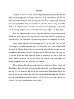 TIEU LUAN NGUYEN lý QLXH,  vấn đề cán bộ, công chức xin thôi việc ở nước ta hiện nay, phương hướng và giải pháp