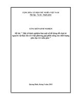 một số kinh nghiệm làm một số đồ dungf, đồ chơi từ nguyên vật liệu sẵn có ở địa phương góp phần nâng cao chất lượng giáo dục trẻ mẫu giáo 