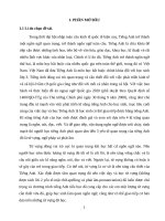 Một số giải pháp giúp học sinh tiểu học nắm vững từ vựng trong dạy học tiếng anh 