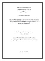 Hiệu quả hoạt động dịch vụ ngân hàng điện tử tại ngân hàng thương mại cổ phần kỹ thương việt nam    