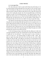 Một số giải pháp xây dựng thư viện thân thiện nhằm hình thành và phát triển năng lực ngôn ngữ tiếng việt cho học sinh dân tộc bru  vân kiều 