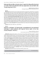 Đánh giá kết quả điều trị thoát vị bẹn ở người lớn bằng phẫu thuật nội soi xuyên thành bụng đặt tấm nhân tạo ngoài phúc mạc tại Bệnh viện Trung ương Huế cơ sở 2
