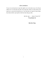 Một số giải pháp phát triển nguồn nhân lực của chi cục quản lý thị trường tỉnh lạng sơn 