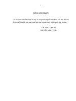 Phát triển dịch vụ ngân hàng hỗ trợ doanh nghiệp vừa và nhỏ ở việt nam 