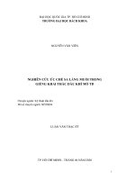Nghiên cứu ức chế sa lắng muối trong giếng khai thác dầu khí mỏ TD