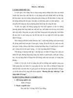 Chuyên đề môn toán 7 hướng dẫn học sinh lớp 7 vận dụng định lí pytago 