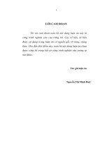 Hoạt động giám sát của ngân hàng nhà nước việt nam đối với ngân hàng thương mại 