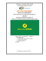 Tiểu luận môn tổng quan về thương mại điện tử kế hoạch kinh doanh điện tử công ty cổ phần thương mại bách hóa xanh