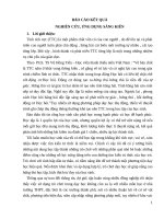 Thiết kế và sử dụng trò chơi nhằm phát huy tính tích cực trong dạy học chương trình địa lí 11 cơ bản 